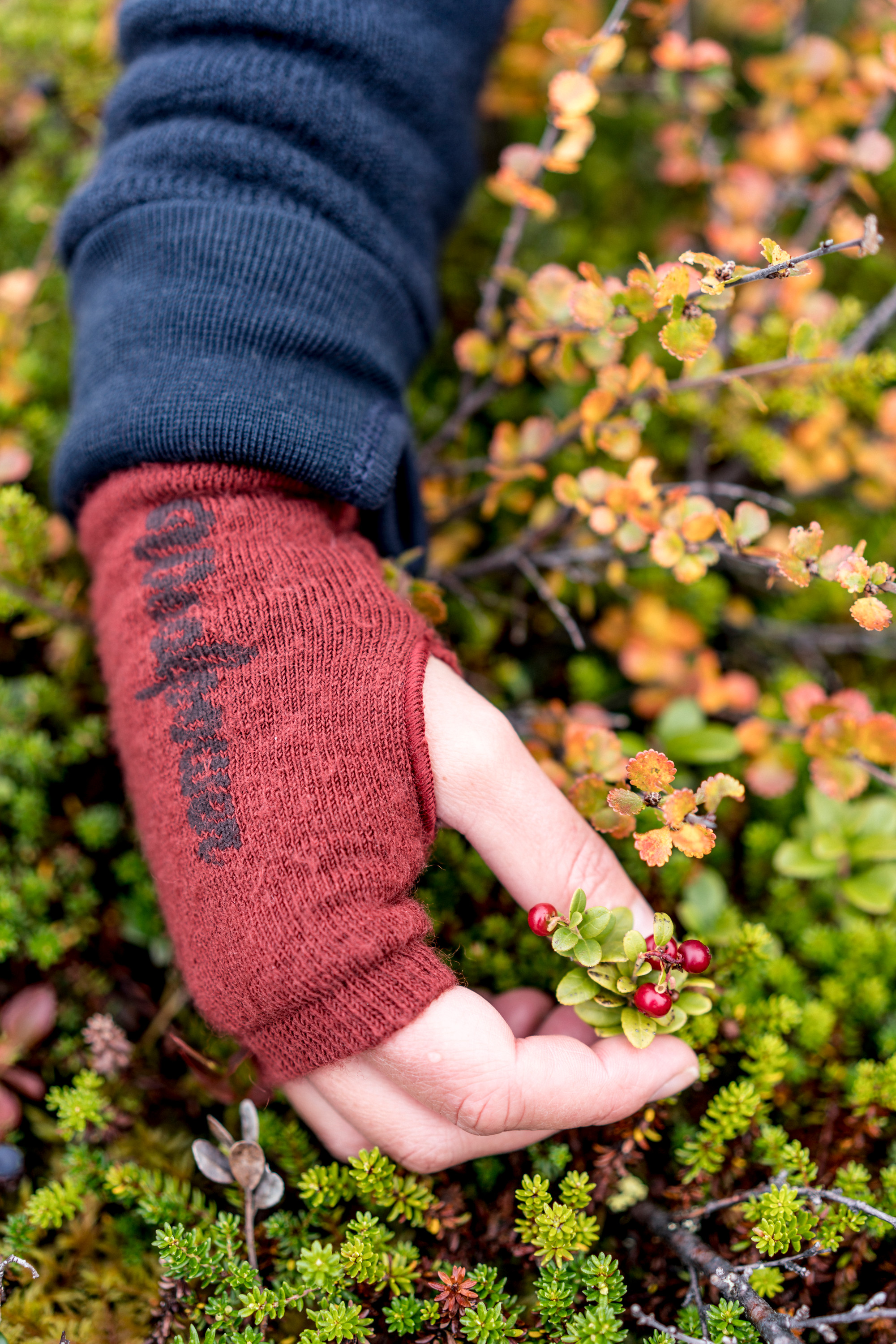 WP Wrist Gaiter 200 autumn red