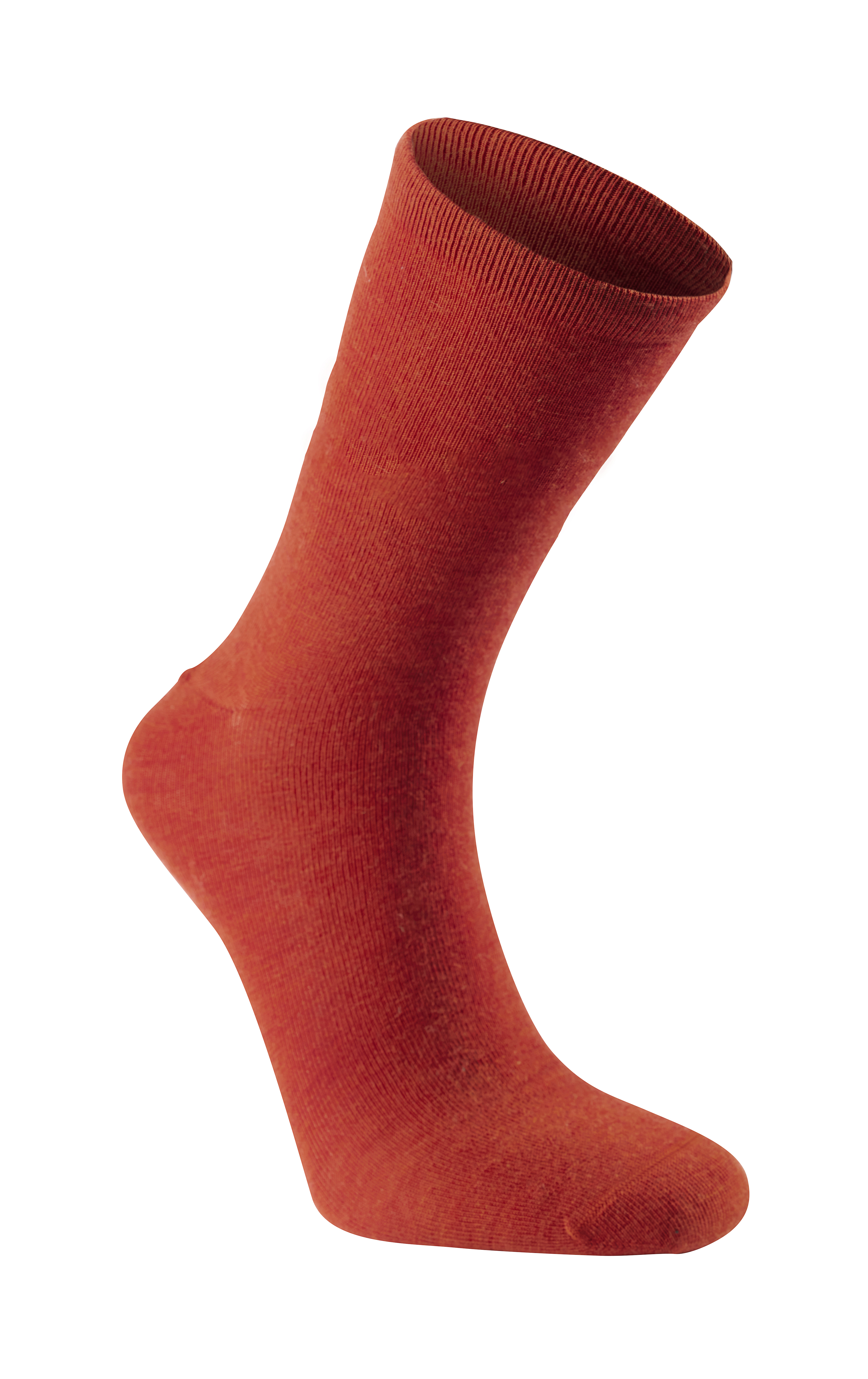 Autumn Red
