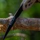 626389_nordic_pocket_saw_skalvik_8_z91_4365-4