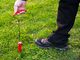 676354_swisspiranha_pegpuller_-_in_use_gras