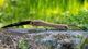 838690_nordic_pocket_saw_skalvik_8_z91_4275-2