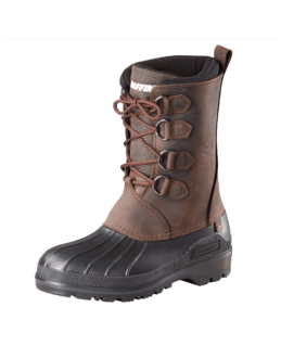 443689_cambrian_glacw002_bbj_primary2