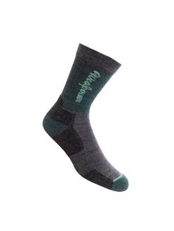 672223_socks_logo_motion_-_green